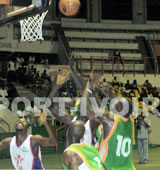 Basket/ CAN 2007 Masculin : Les Eléphants en quart